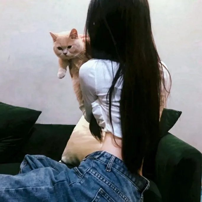世界街头女斗士3